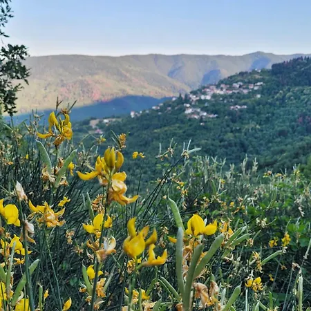 Apartmán Antoni's House