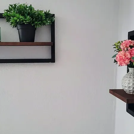 Antoni's House דירה *